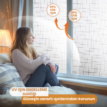 TechnoSmart 60cmx100cm Buzlu Desenli Cam Kaplama Filmi Statik Duşa Kabin Ofis Dekorasyon Folyo