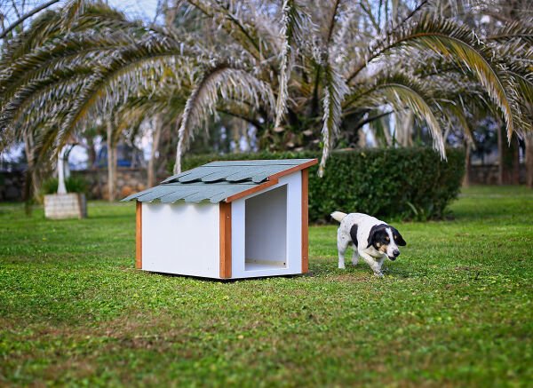 MANDU Standart Köpek Kulübesi