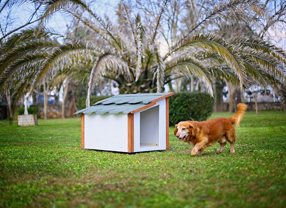 MANDU Standart Köpek Kulübesi