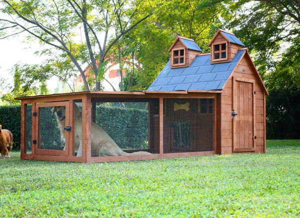 Ultra Luxury Wooden Garden Cottage for dogs (home)