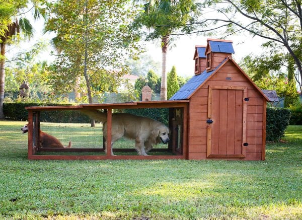 Ultra Luxury Wooden Garden Cottage for dogs (home)