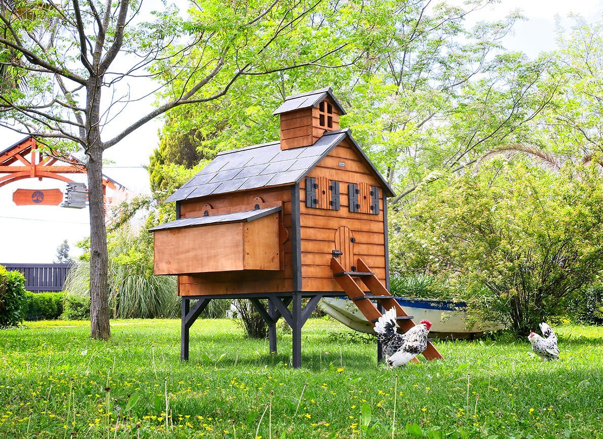 The Wooden Chicken Coops