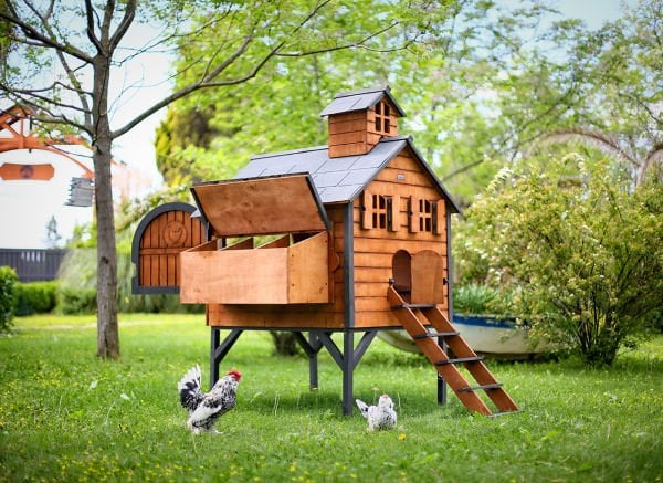 The Wooden Chicken Coops