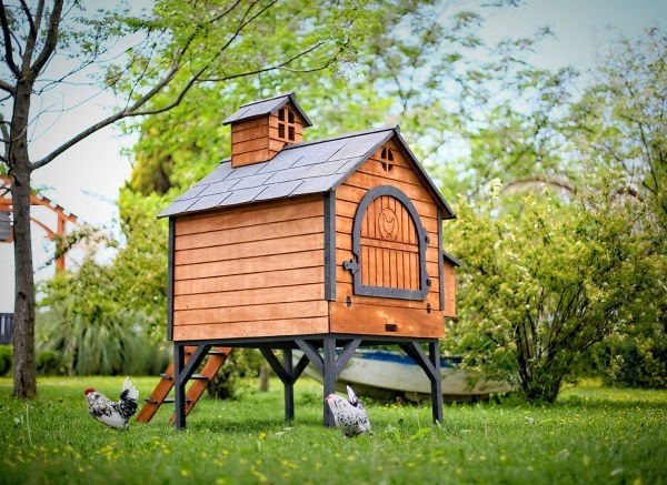 The Wooden Chicken Coops