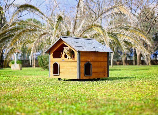 MANDU Ahşap Teraslı (Dublex) Kedi Evi