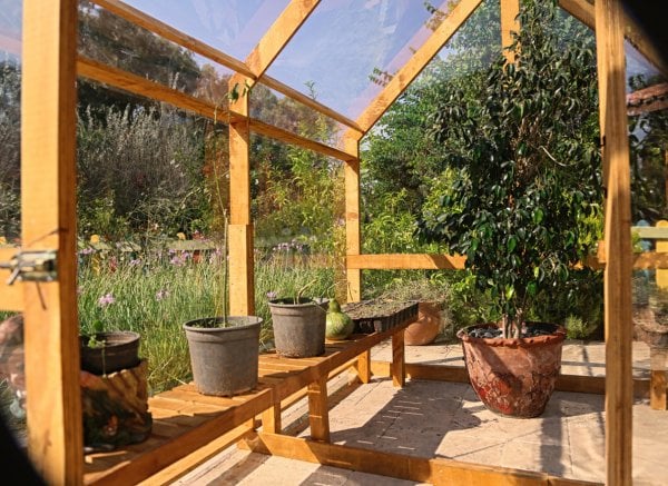 Green House, Wood Greenhouse