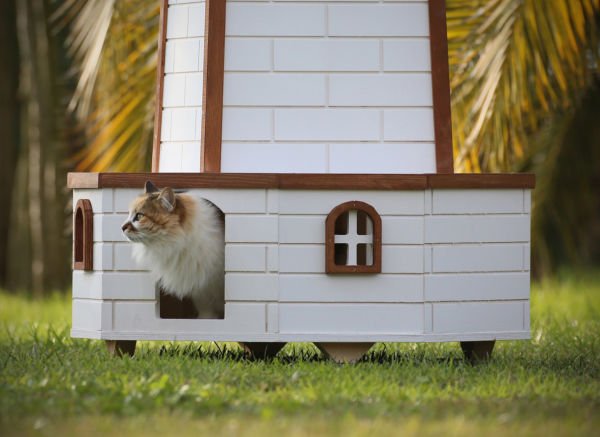 Değirmenli Wood Wind Cat House