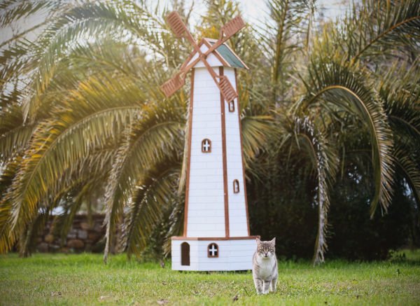 Değirmenli Wood Wind Cat House