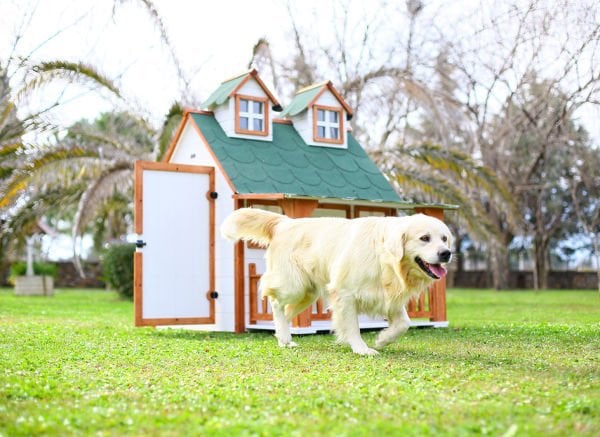 Mandu Isıtıcılı Ultra Lüks Ahşap Köpek Kulübesi (evi)