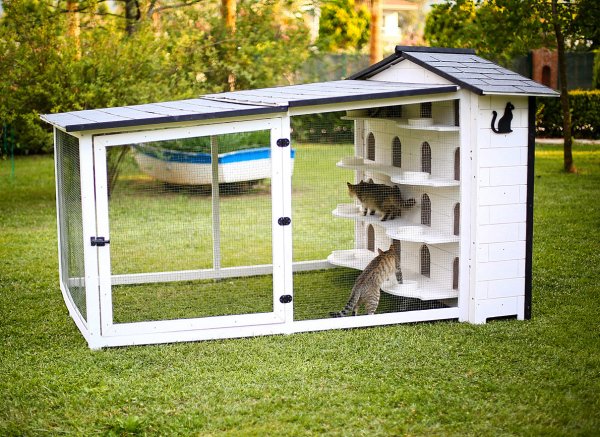 MANDU Bahçeli Kedi Apartmanı (kedi evi) + Mama kapları hediye