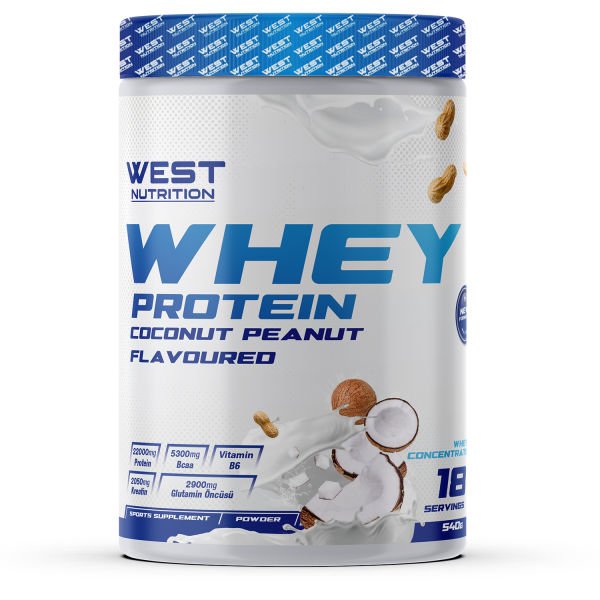 Whey Protein Tozu 540 gr 18 Servis