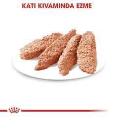 Royal Canin Exigent Köpek Yaş Maması 85 Gr.