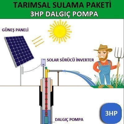 3HP Dalgıç Pompa - Tarımsal Sulama Sistemleri