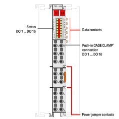 750-1504 16 kanallı dijital çıkış; 24 VDC; 0,5 A; açık gri