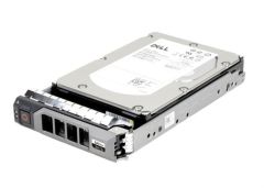 DELL 2TB 3.5'' 7.2K 12Gbps SAS Sunucu HDD