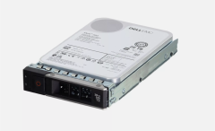 DELL 20TB 3.5'' 7.2K 12Gbps NL SAS Near Line Sunucu Diski