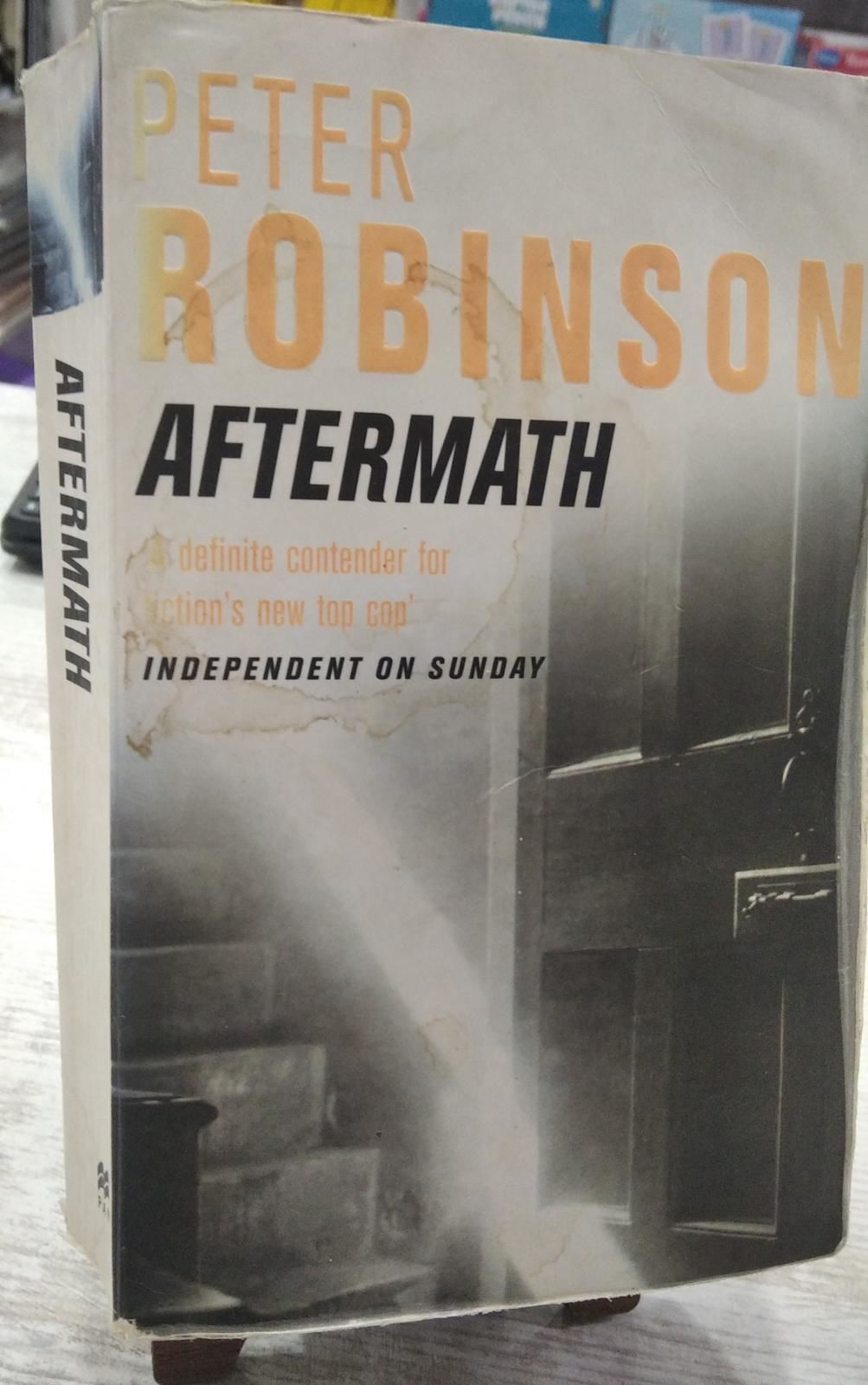 Aftermath- Peter Robinson