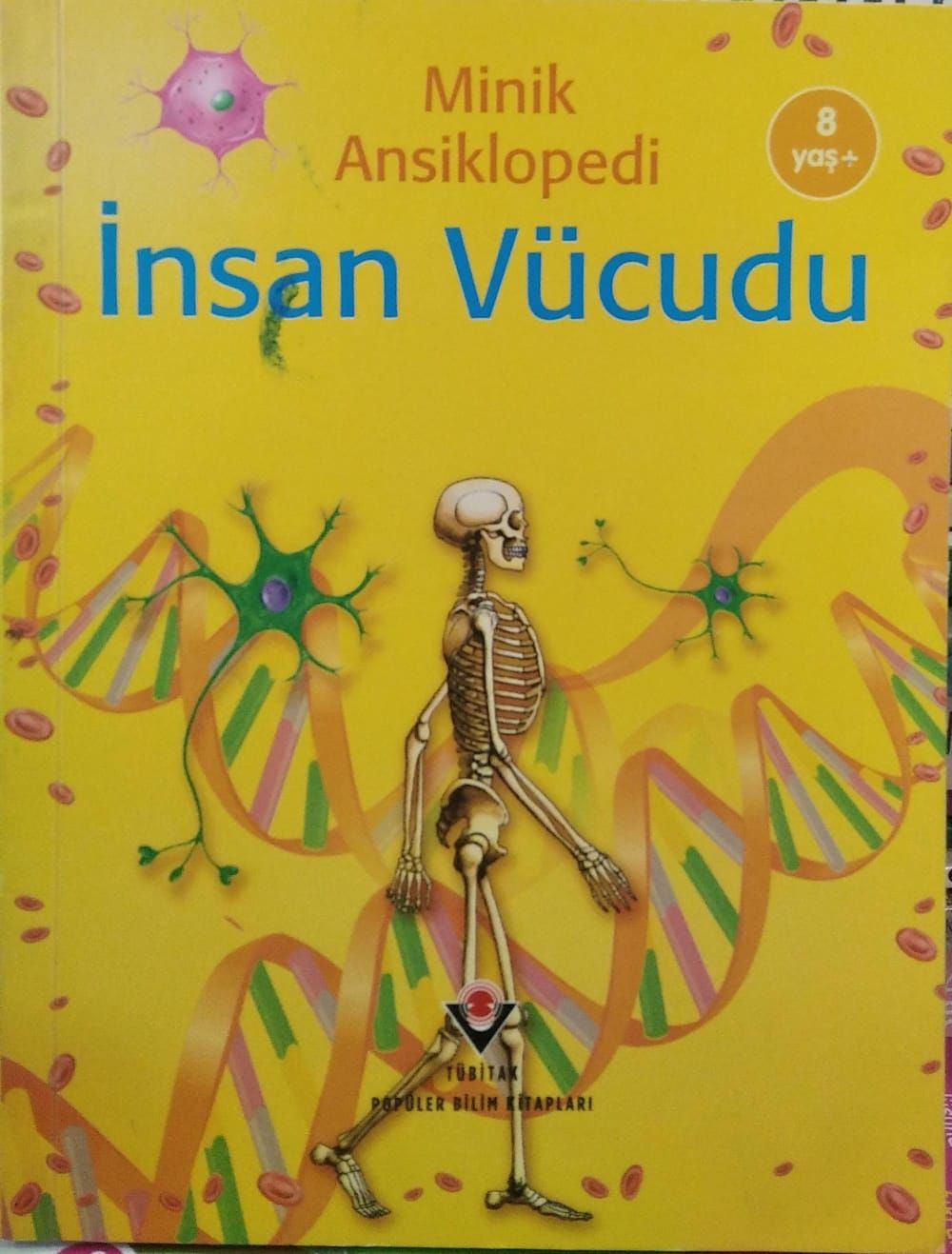 Minik Ansiklopedi - İnsan Vücudu / Ayşe Mine Şengel