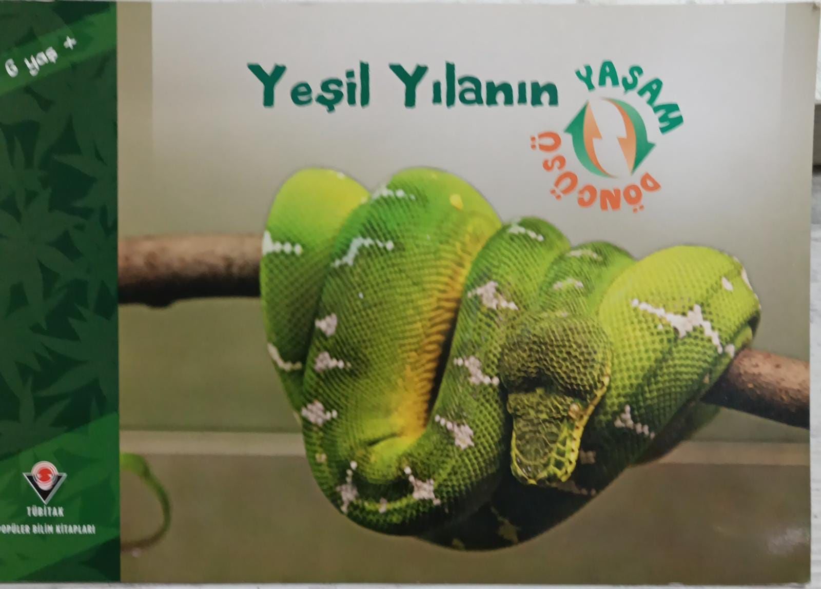 Yeşil Yılanın Yaşam Döngüsü - Tübitak