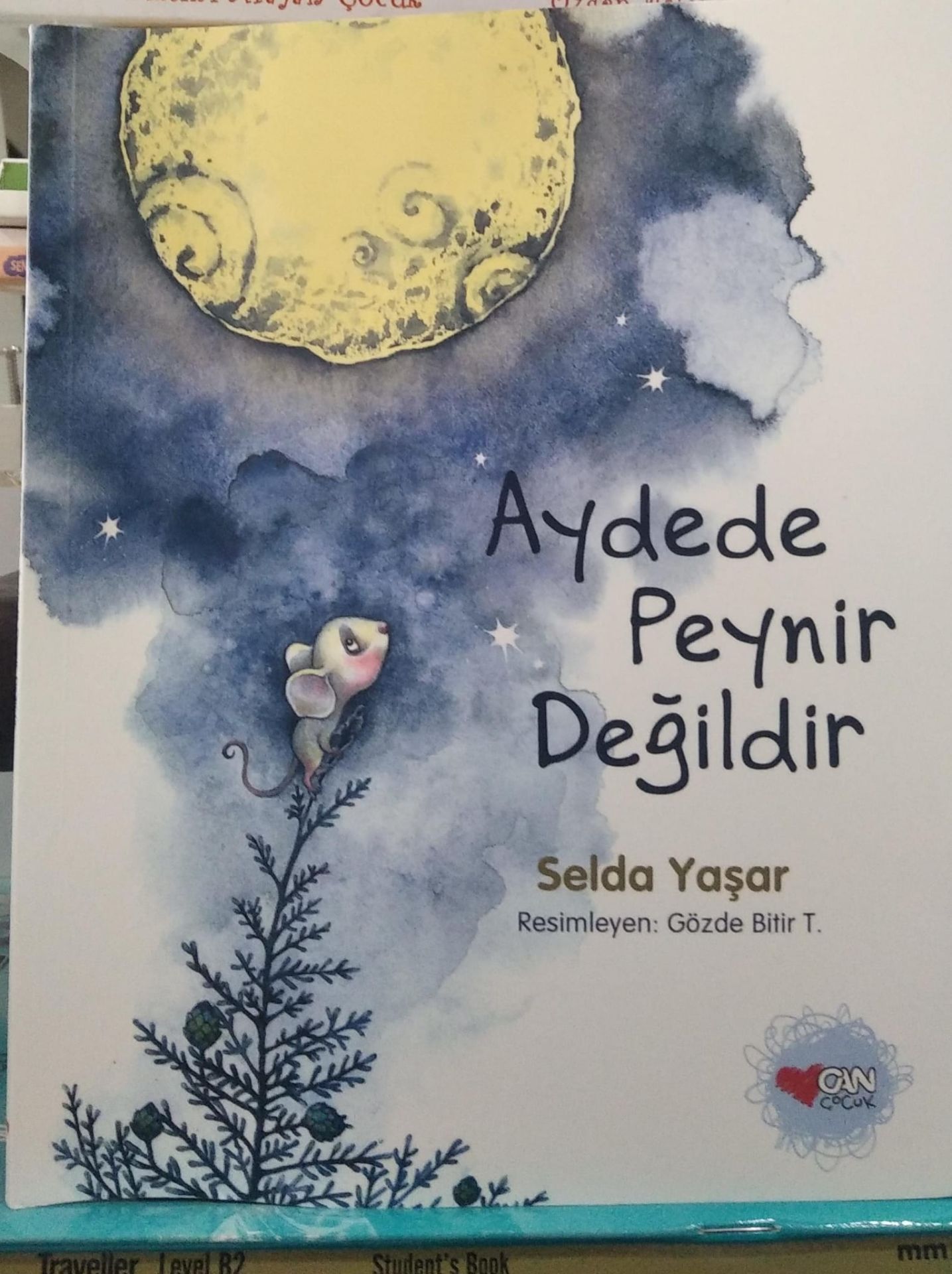 AYDEDE PEYNİR DEĞİLDİR - Selda Yaşar