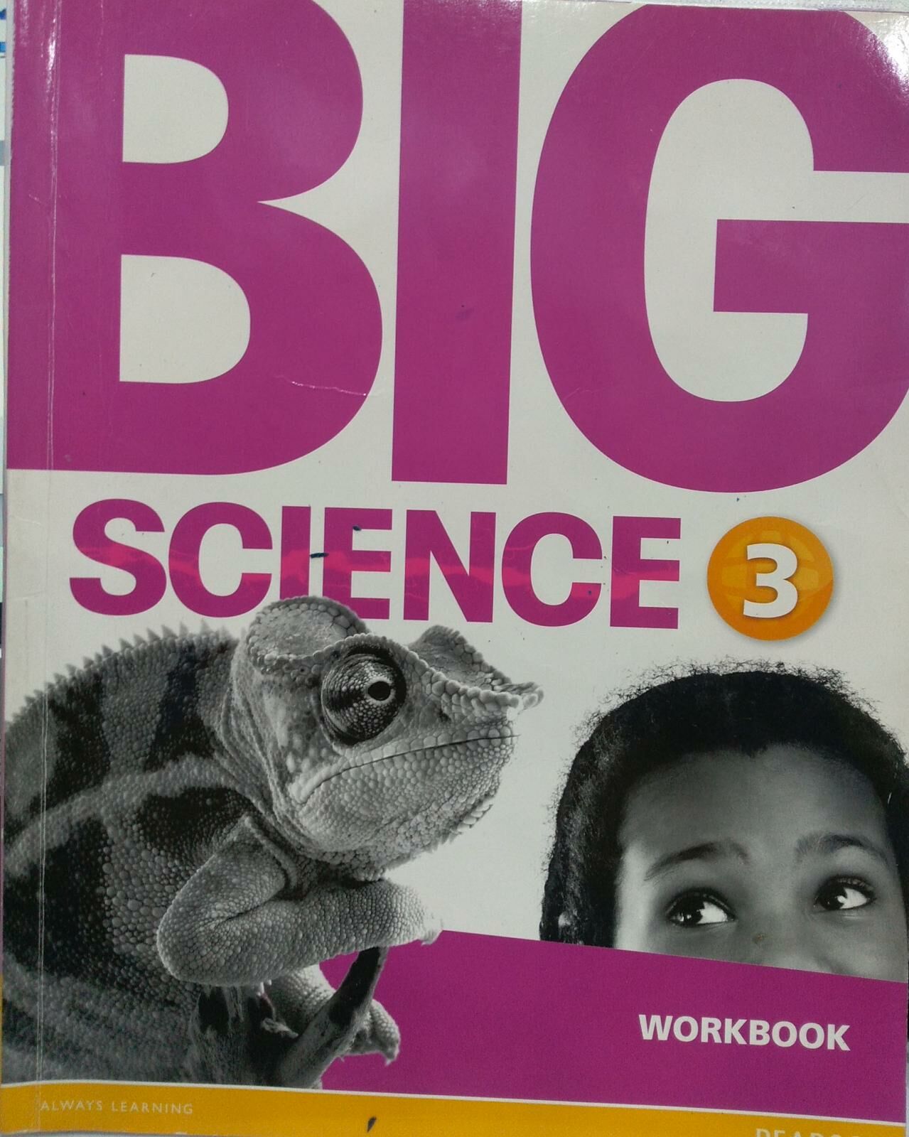 BIG SCIENCE 3  WORKBOOK