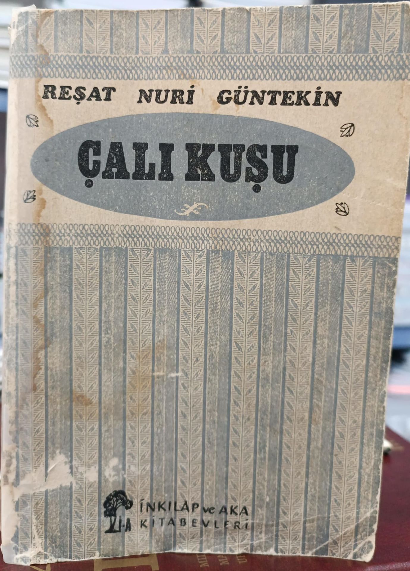 ÇalıKuşu - Reşat Nuri Güntekin