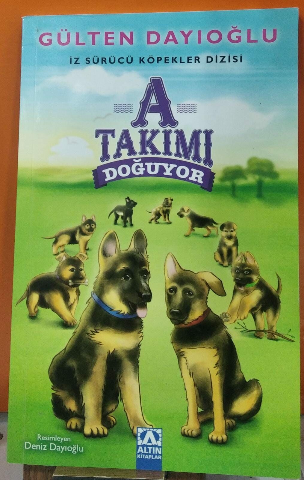 A Takımı Doğuyor - Gülten Dayıoğlu