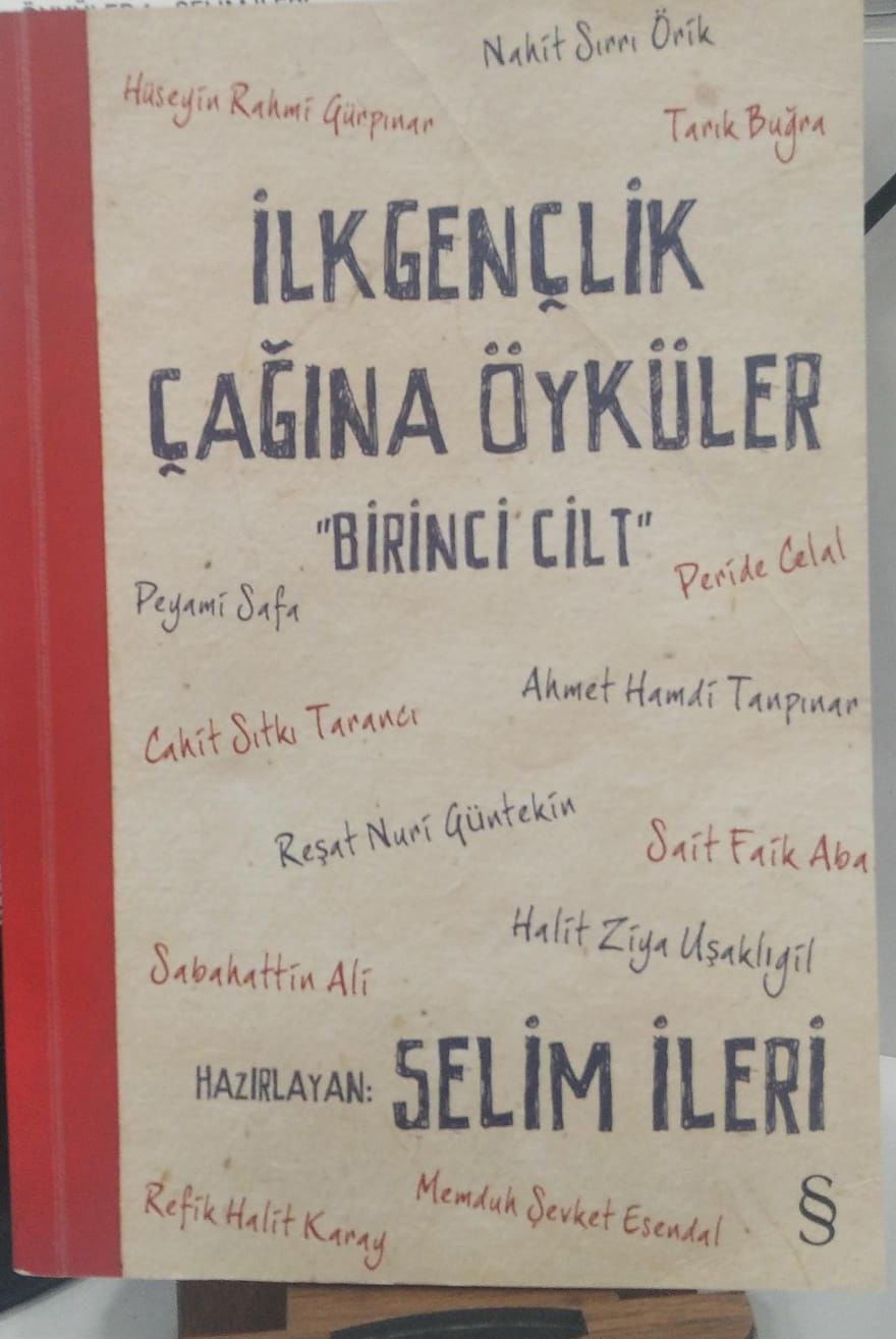 İLKGENÇLİK ÇAĞINA ÖYKÜLER 1 / SELİM İLERİ