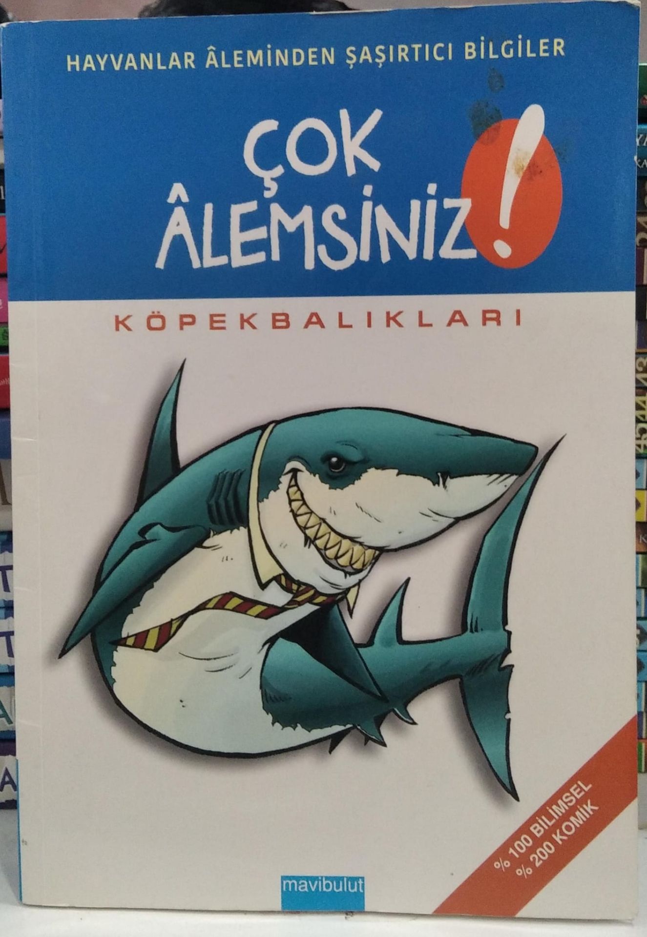 Çok Alemsiniz!-Köpekbalıkları - Alain M. Bergeron, Michel Quintin