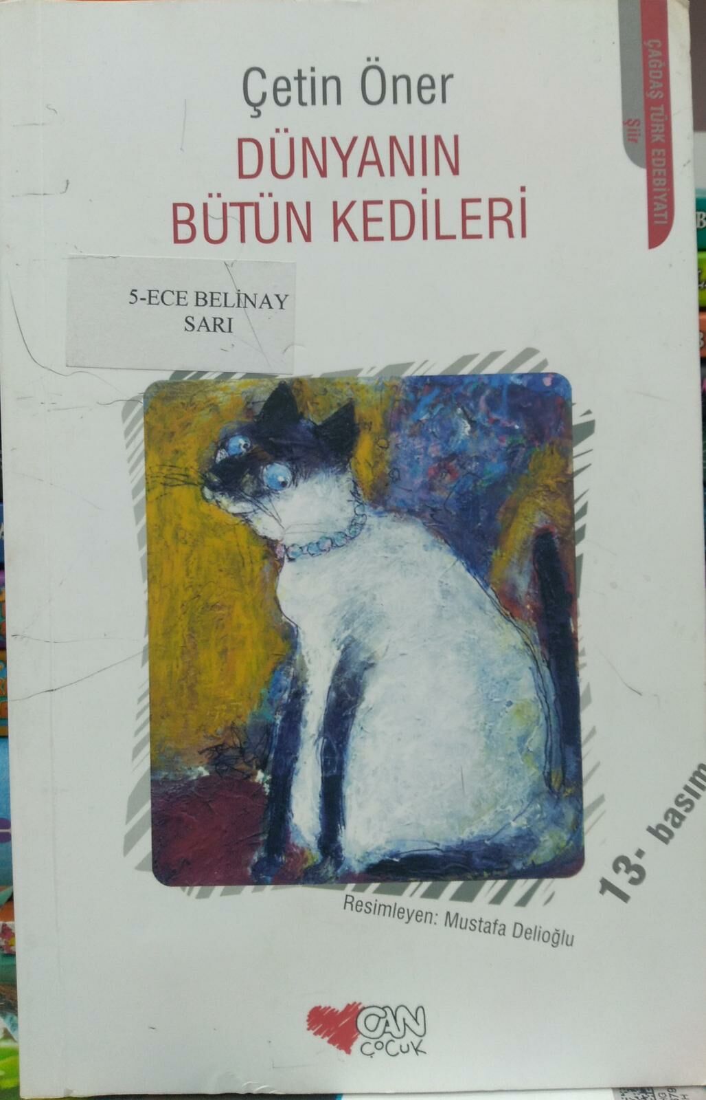 Dünyanın Bütün Kedileri - 2.EL