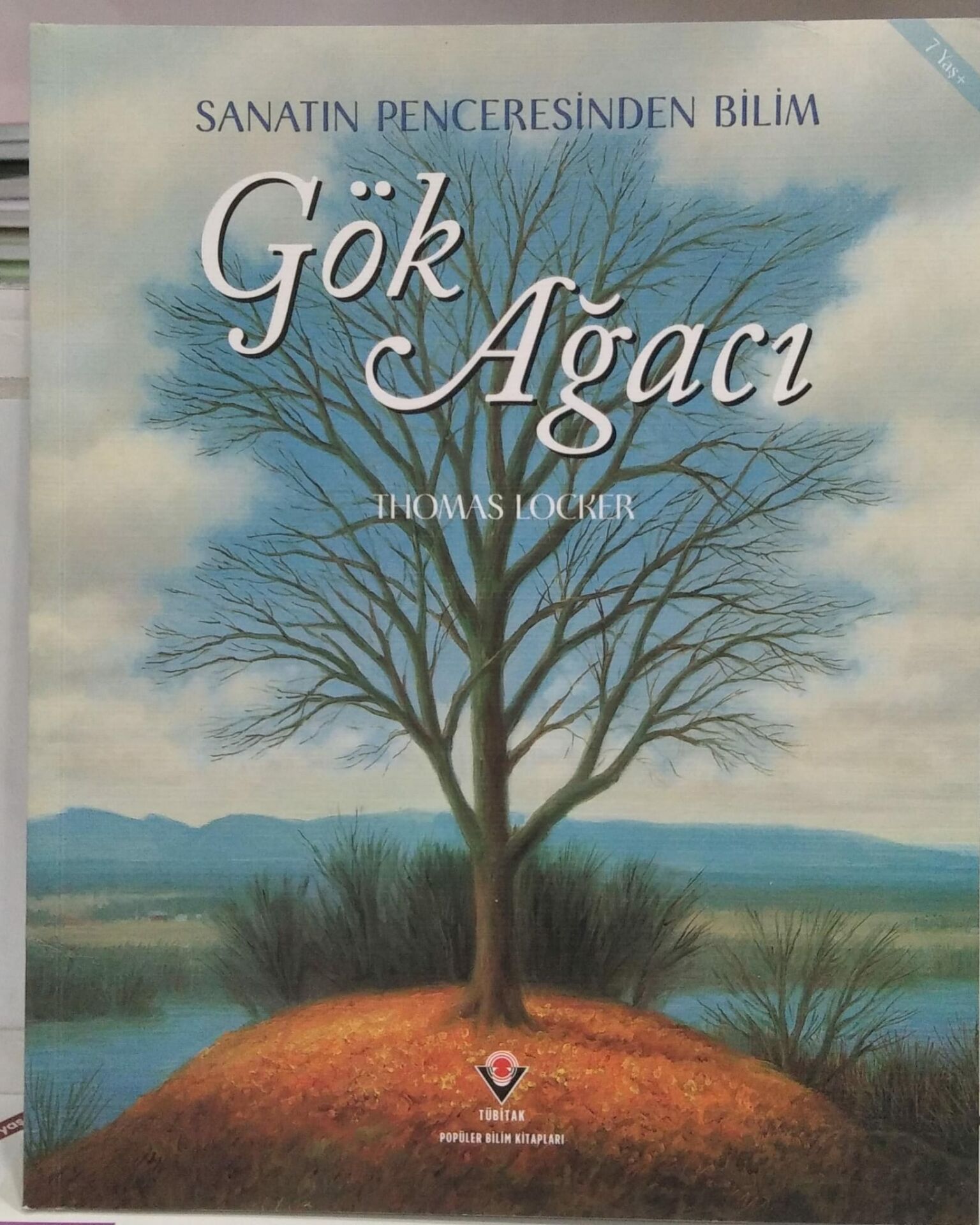 Gök Ağacı - Ahmet Coşkun