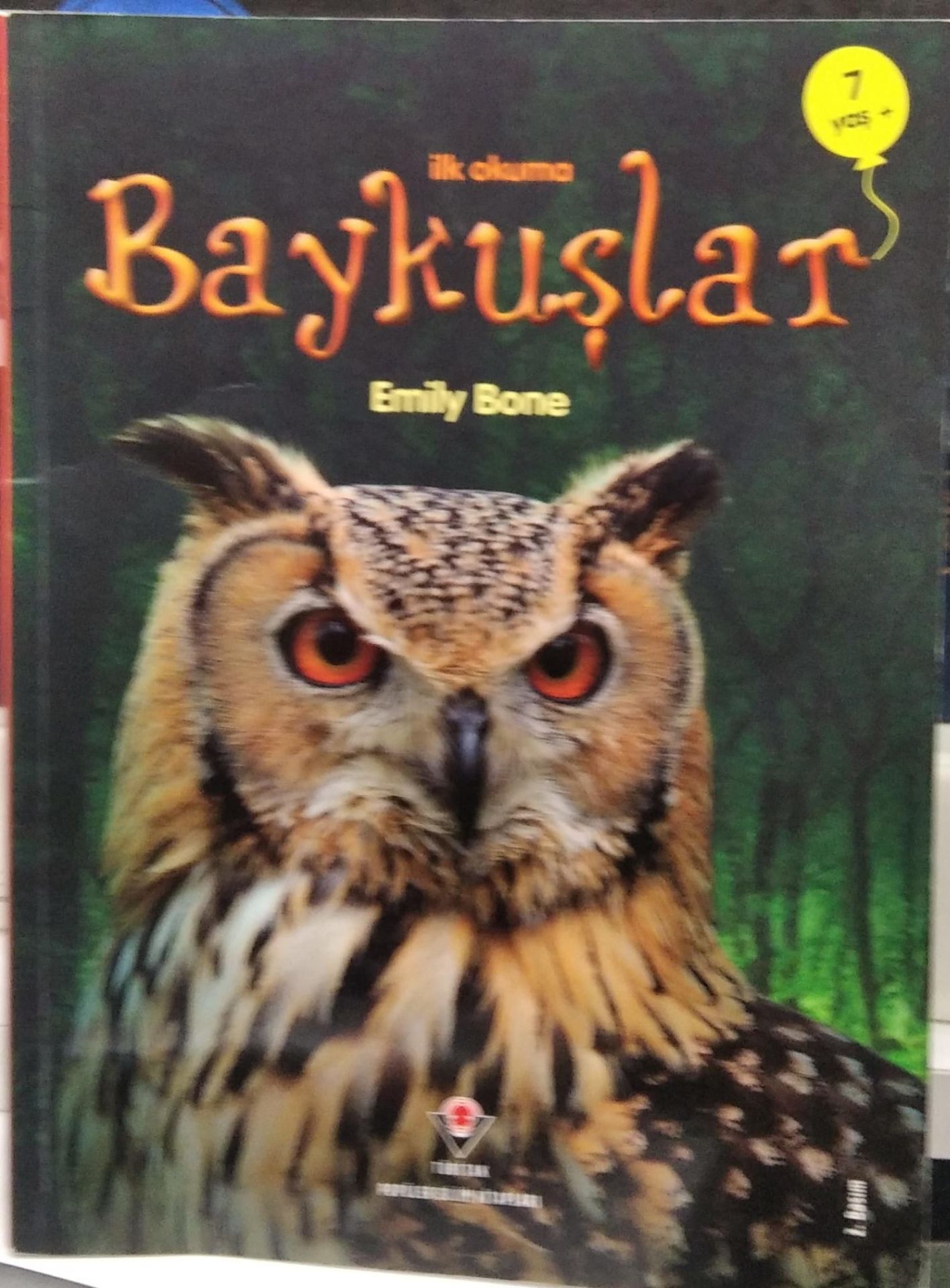 İlk Okuma - Baykuşlar / Emily Bone