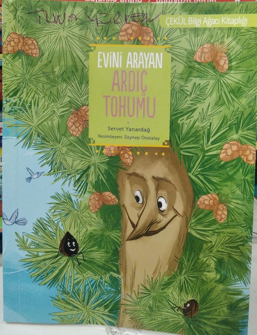 Evini Arayan Ardıç Tohumu - Servet Yanardağ