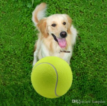 Tenis Topu Köpek Oyuncağı 1 Adet