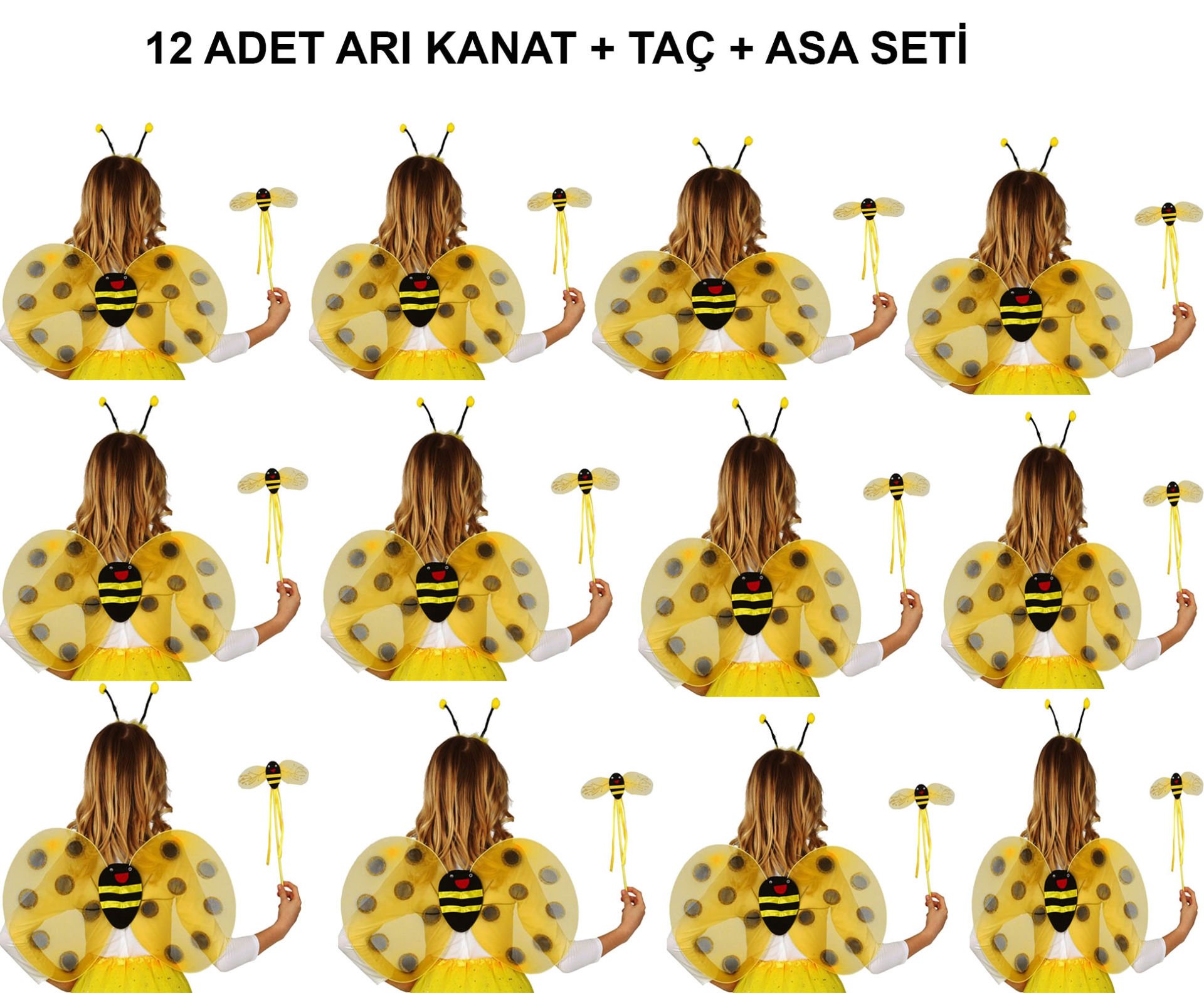 Okul Gösterileri için Arı Kanadı Seti - Etkinlik Kanatları