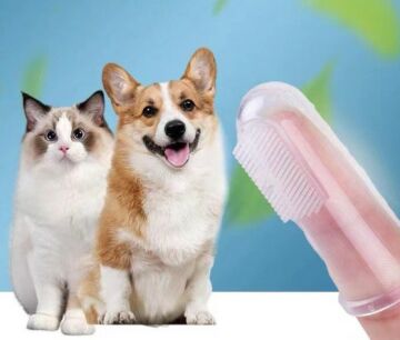 Evcil Hayvan Kedi Köpek Parmağa Takılan Diş Kaşıma Fırçası