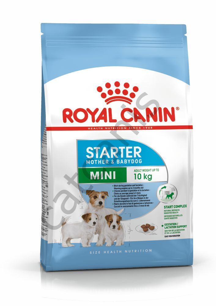 Royal Canin Mini Starter Mother & Babydog 4 kg Köpek Maması