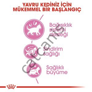 ROYAL CANIN KITTEN 10 KG