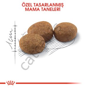 Royal Canin Sterilised Kısırlaştırılmış Yetişkin Kedi Maması 2 kg