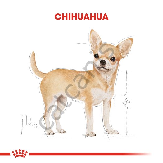 Royal Canin Chihuahua Adult Yetişkin Köpek Maması 1.5 Kg