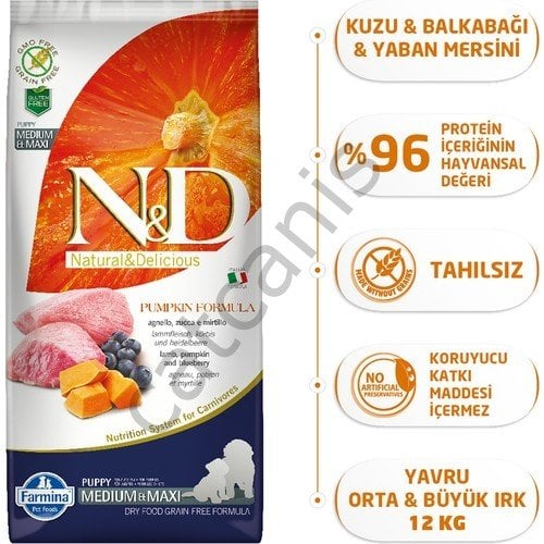 N&D Pumpkin Tahılsız Balkabaklı Kuzu Etli ve Yaban Mersinli 12 kg Orta/Büyük Irk Yavru Köpek Maması