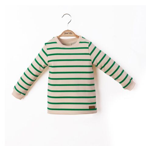 Çizgili Nakışlı Çocuk Sweatshirt Yeşil - 4 Yaş
