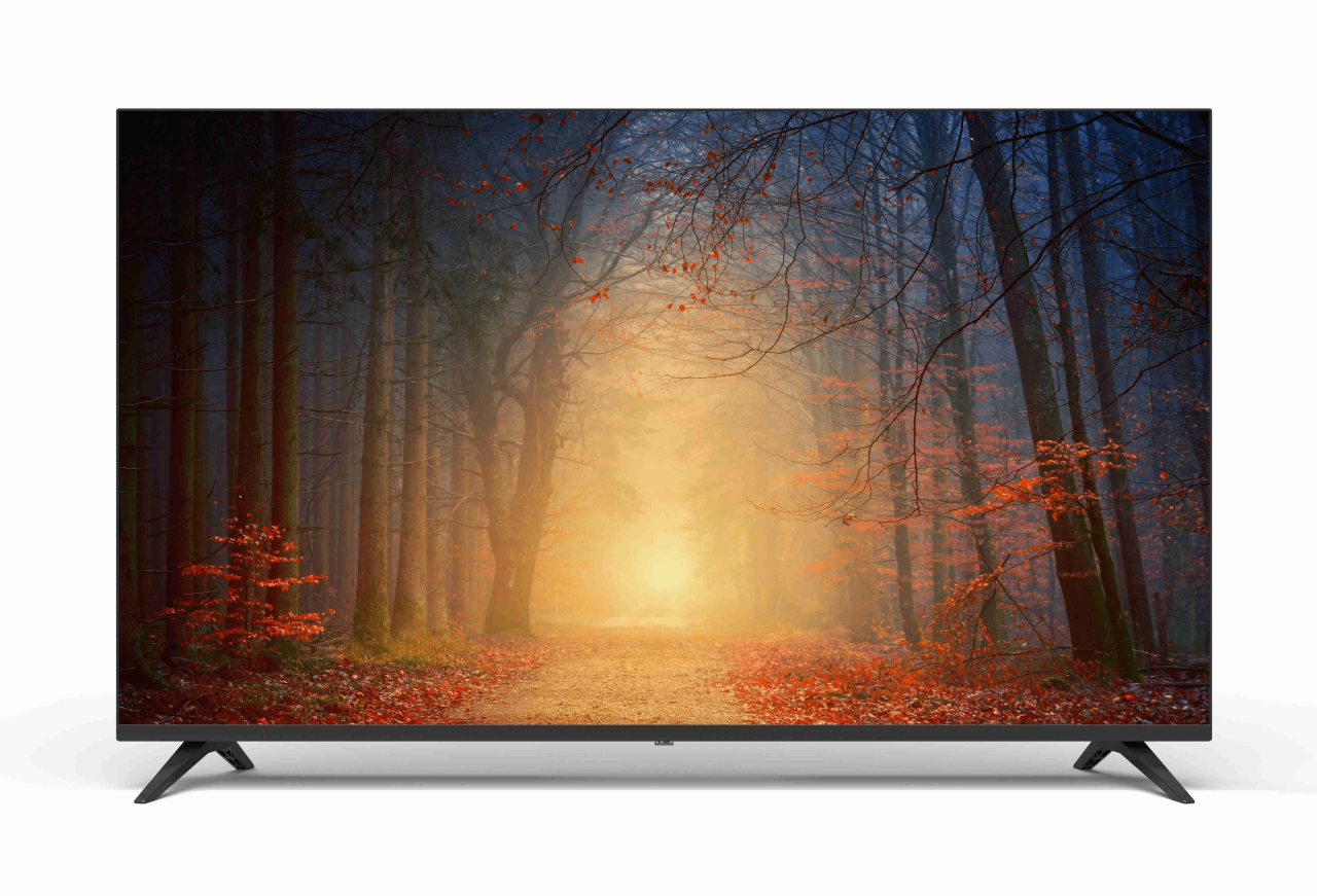 Profilo 65PA515E Televizyon