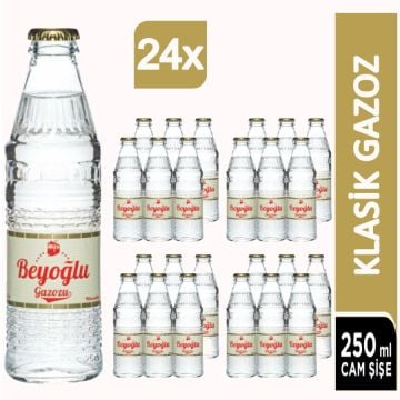 Beyoğlu Klasik Gazlı İçecek 24X250 ML