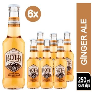 BOTA Ginger Ale Original Recipe Tonic 6x250 ML