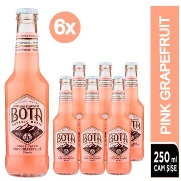 BOTA TONİC MİX-1  24 X 250 ML