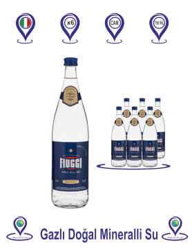 Fiuggi Gazlı Su Cam Şişe 750 ML X 6