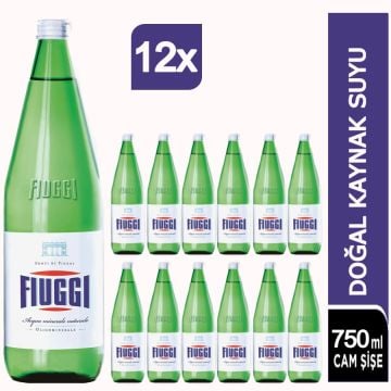 Fiuggi Doğal Kaynak Suyu Cam Şişe 12x750ml