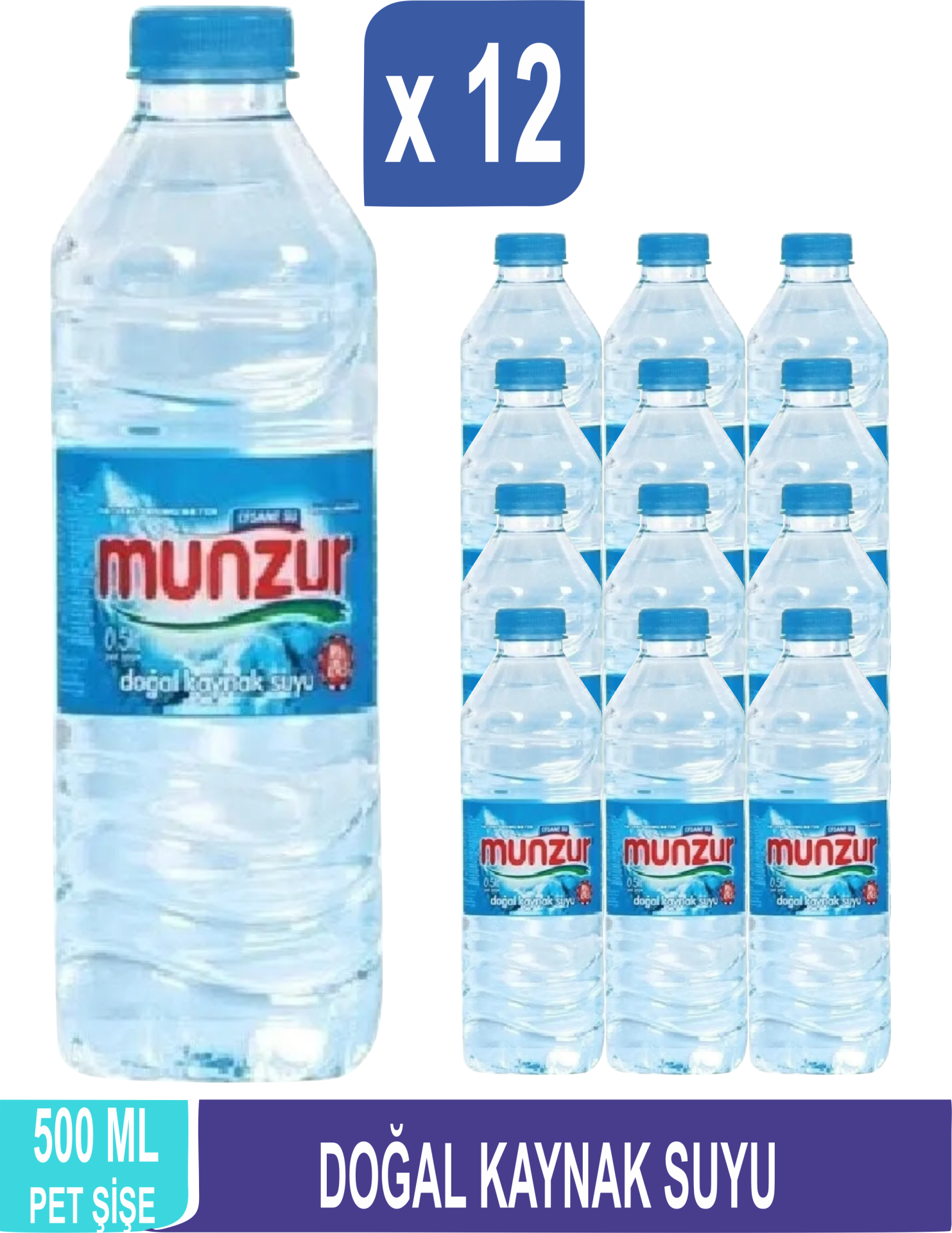 MUNZUR Doğal Kaynak Suyu 500 ML x 12