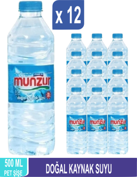 MUNZUR Doğal Kaynak Suyu 500 ML x 12